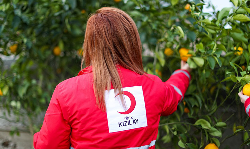 T�rk K�z�lay�dan Depremden Etkilenen 2797 �ift�iye 70.8 Milyon Destek