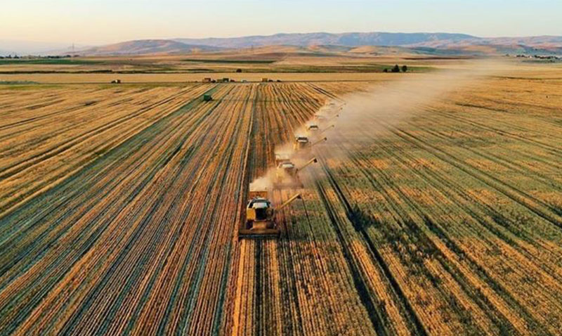 TARIM VE ORMAN BAKANLI�I�NDAN �33 SORUDA PLANLI �RET�M� REHBER�