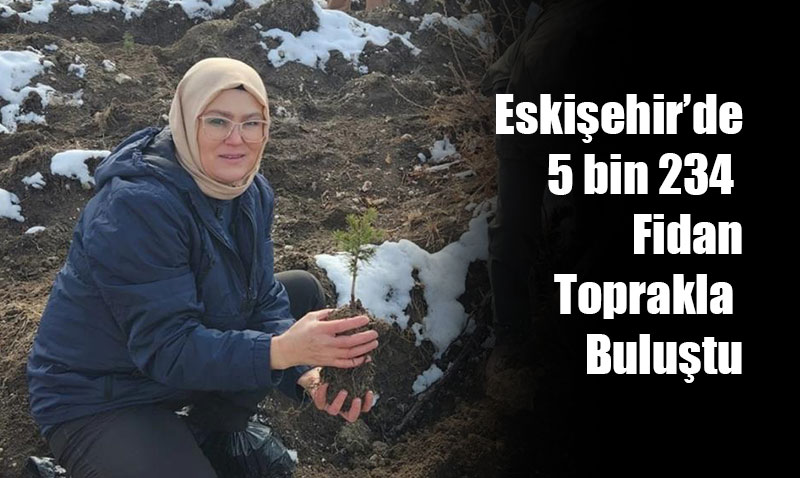 Her Yenido�an Ad�na Bir Fidan