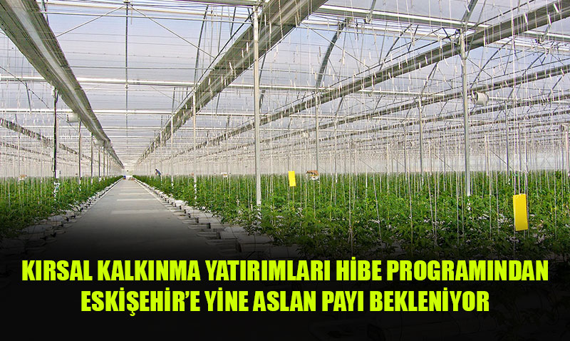 K�rsal Kalk�nma Yat�r�mlar� Hibe Program�ndan Eski�ehir�e Yine Aslan Pay� 