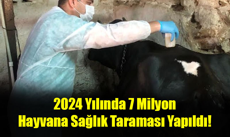 Eski�ehir�de Ah�r Ve A��lda Sa�l�k Hizmeti Devam Ediyor