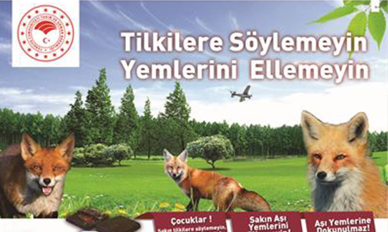 Eski�ehir�de kuduza kar�� yaban hayvanlar�n�n a��zdan a��lama �al��malar� devam ediyor