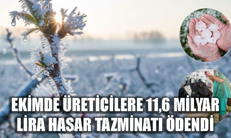 �reticiye Destek Devam Ediyor: Ekim Ay�nda 11,6 Milyar TL Hasar Tazminat� �dendi
