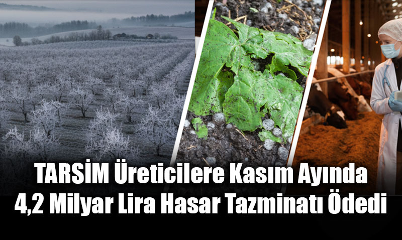 TARS�M �reticilere Kas�m Ay�nda 4,2 Milyar Lira Hasar Tazminat� �dedi