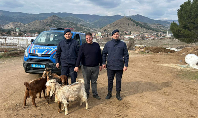 Eski�ehir�de Kaybolan K���kba� Hayvanlar Jandarma Taraf�ndan Bulundu!