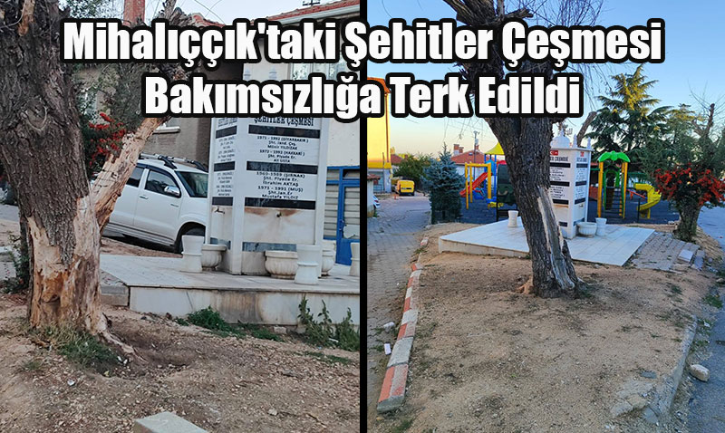 Mihal����k’taki �ehitler �e�mesi Bak�ms�zl��a Terk Edildi