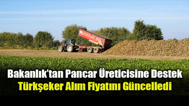 Pancar �reticisine Al�m G�vencesi: Kota Primi Dahil Ton Fiyat� 3.720 TL Oldu