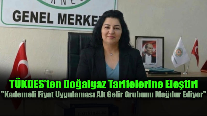 T�KDES Genel Merkez �yesi Ay�e Keskin: "T�keticiden Limit Takibi Beklemek Hayat�n Ola�an Ak���na Ayk�r�"