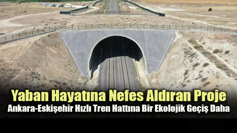 Eski�ehir YHT Hatt�n�n 393��nc� Kilometresine Yeni Ekolojik K�pr� Planlan�yor
