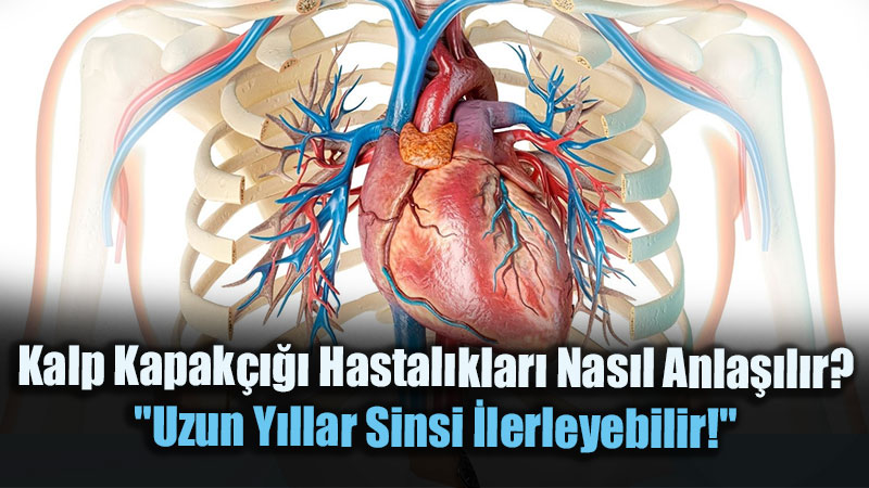 Kalpteki �f�r�m Ne Anlama Geliyor? Prof. Dr. Yavuz Be�o�ul Erken Tan�n�n �nemini Anlatt�
