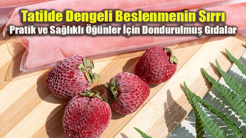 Tatil Mutfaklar�nda Feast Kolayl���: Ay�klama ve Do�rama Derdine Son
