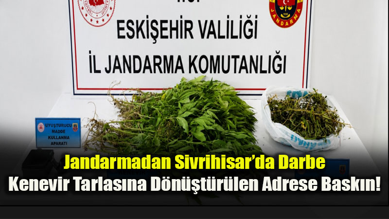 Sivrihisar�da Uyu�turucu Operasyonu: 185 K�k Kenevir Ele Ge�irildi