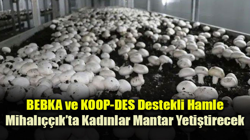 Yunus Emre�de Kad�n Eliyle �retim Devrimi: Mantar Tesisi ��in �mzalar At�ld�!