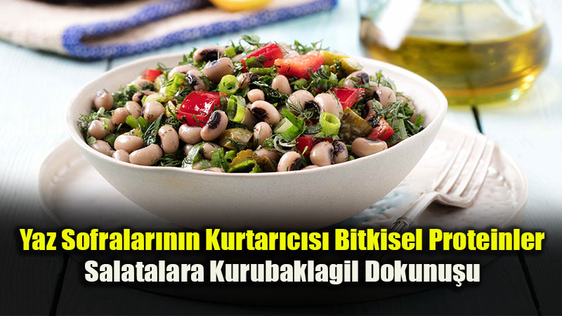 S�cak Havalarda Hafif Beslenirken Proteini �hmal Etmeyin!