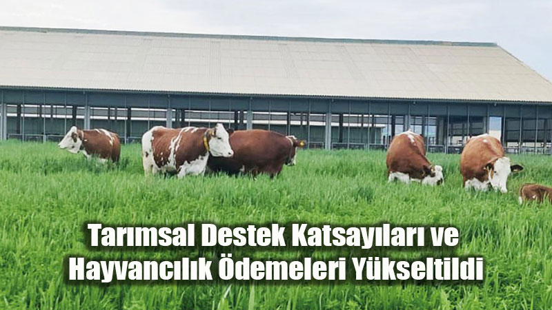 �ift�iye M�jde: Bitkisel ve Hayvansal �retim Desteklerinde Dev Art��!