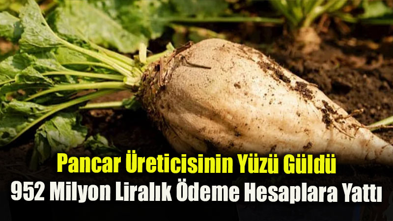 Pancar �reticisine 5’inci Avans Dopaj�: 952 Milyon Lira �ift�iye Ula�t�r�ld�