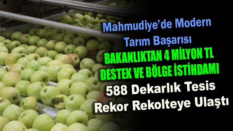 Eski�ehir�in Meyveleri Mahmudiye�den D�nyaya A��l�yor: Hindistan Ve Arap �lkelerine Elma �hracat�!