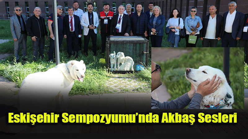 Akba� �oban K�pe�inin Ba�kenti Tescillendi: Eski�ehir Sempozyumu�nda Gurur Verici Veriler