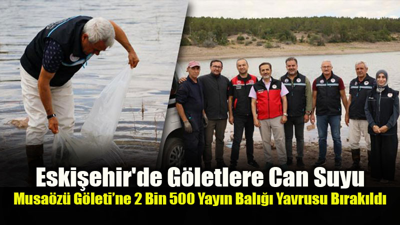 Musa�z� G�leti�nde Biyo�e�itlilik G��leniyor: 2.500 Yay�n Bal��� Yavrusu Sal�nd�